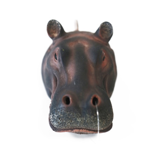 Betta Air Action Hippo Head - Image 2