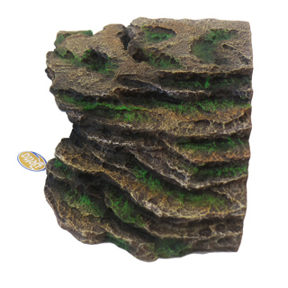 Betta Brown Dark Cave Large - Image 2