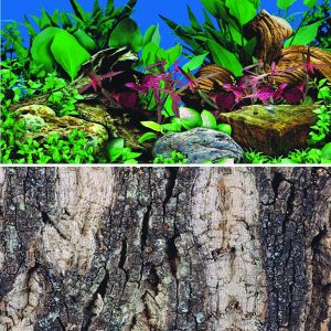 Betta Plant / Cork Background 60cm High 15m